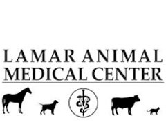 Lamar AMC