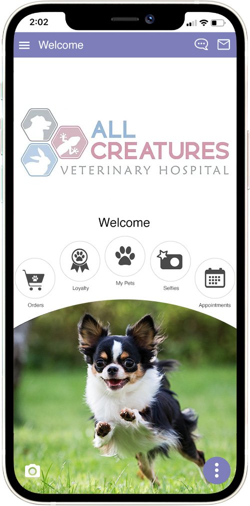 All Creatures Veterinary Hospital