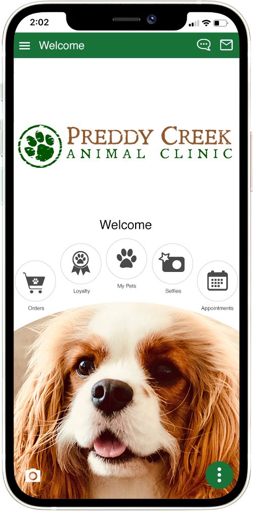 Preddy Creek