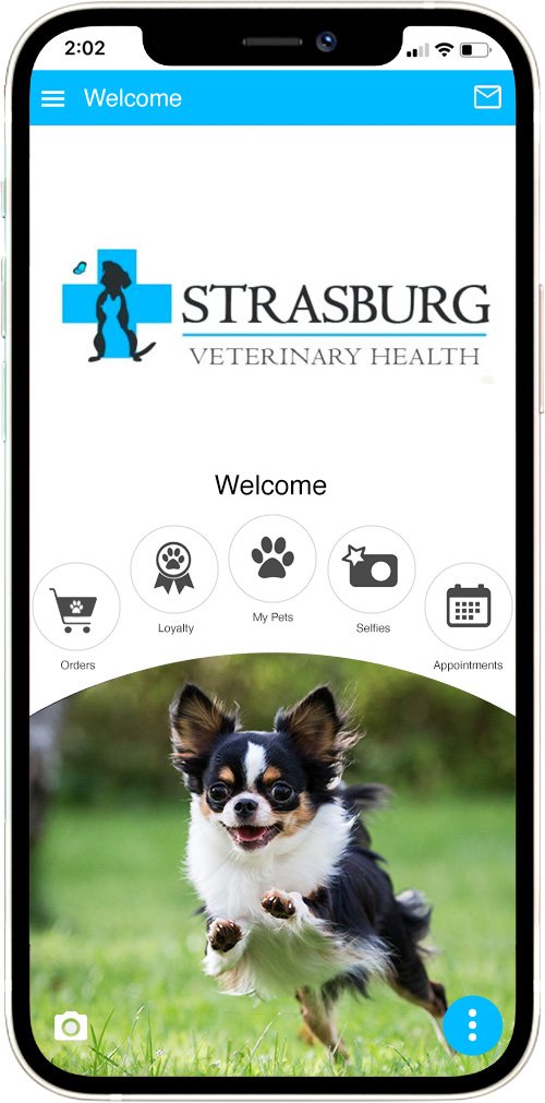 Strasburg Vet Health