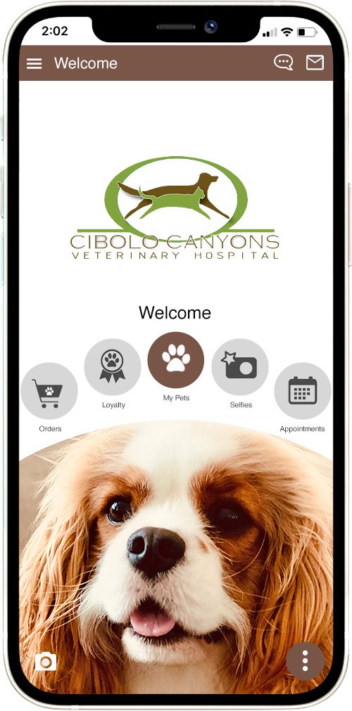 Cibolo Canyons