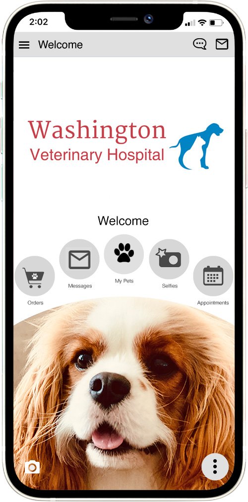 Washington Vet