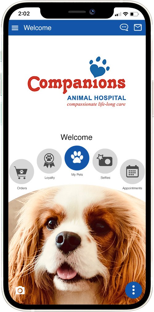 Companions Animal Hospital