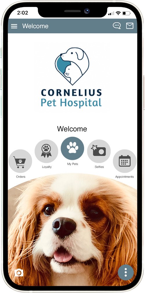 Cornelius Pet Hospital