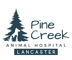 Pine Creek AH Lancaster