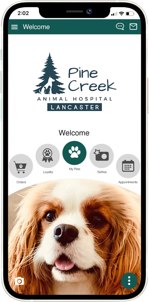 Pine Creek AH Lancaster