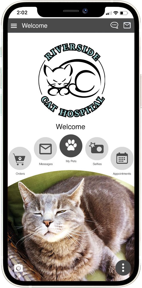 Riverside Cat Hospital