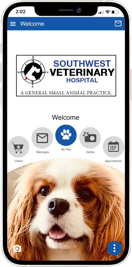 Southwest Vet Hospital