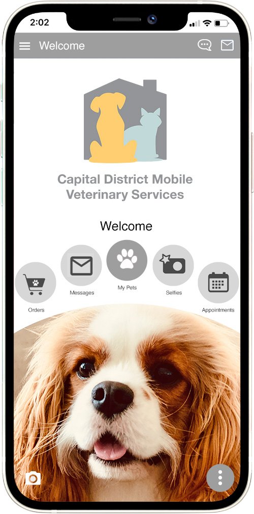 Capital District