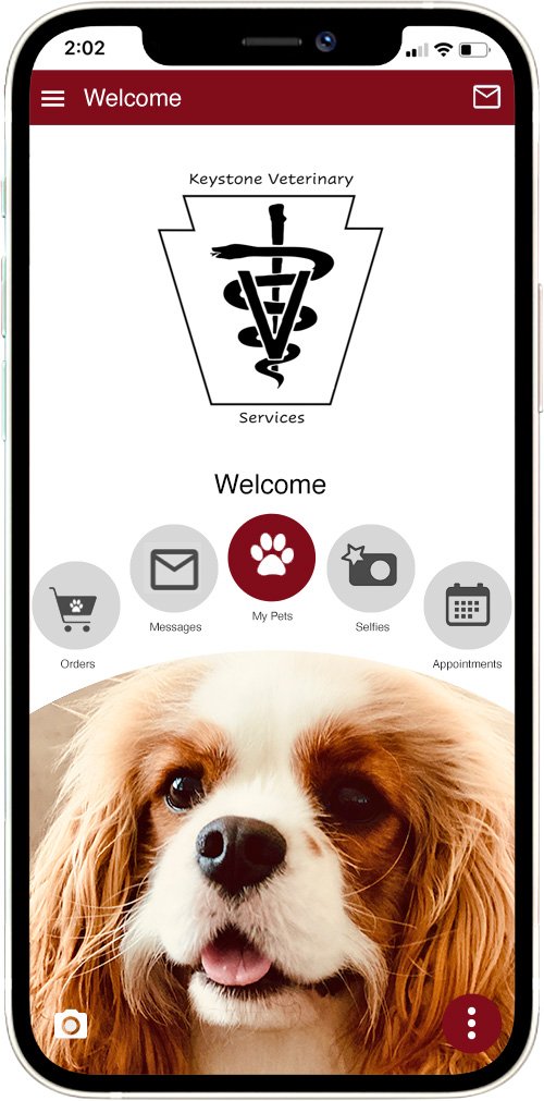 Keystone Vet Services