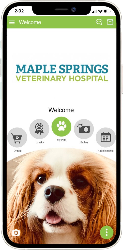 Maple Springs Vet Hospital