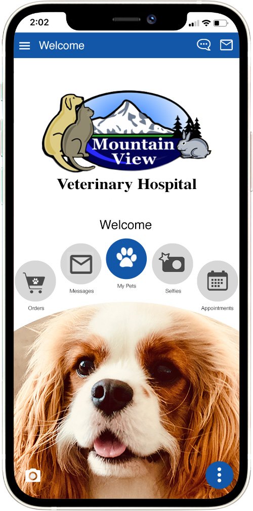 Mountain View VH
