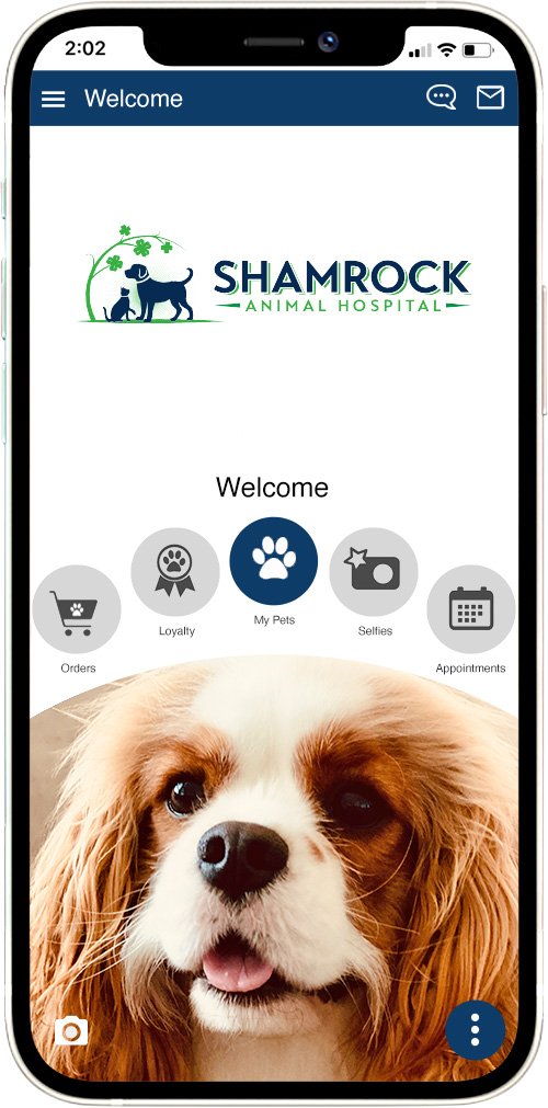 Shamrock Animal Hospital