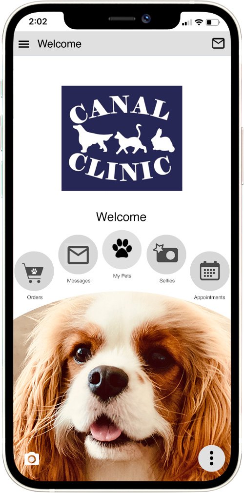 Canal Clinic