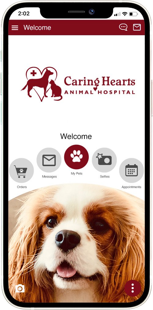 Caring Hearts AH