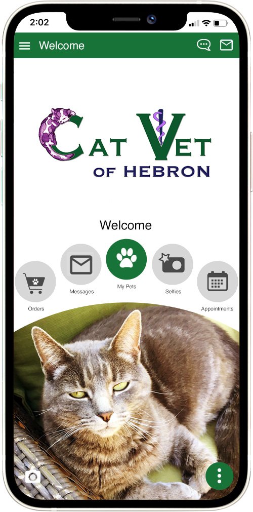 Cat Vet of Hebron