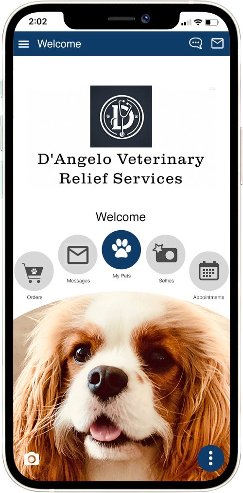 D’Angelo Veterinary Relief Services