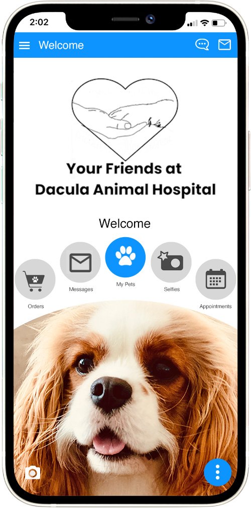 Dacula Animal Hospital