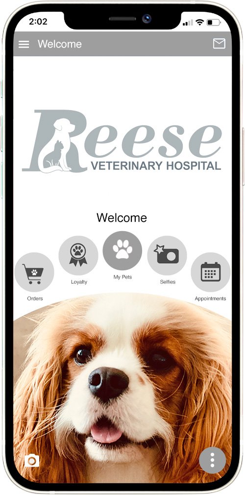Reese Vet