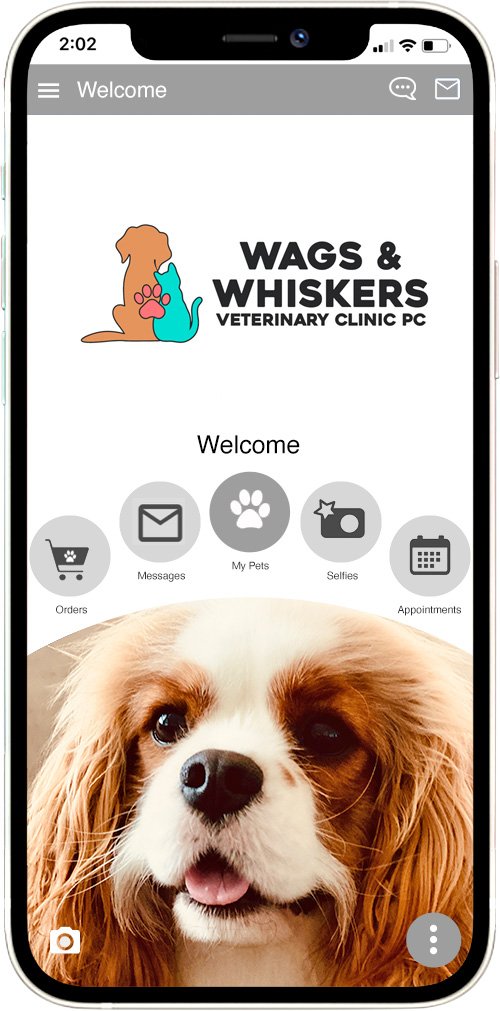 Wags & Whiskers