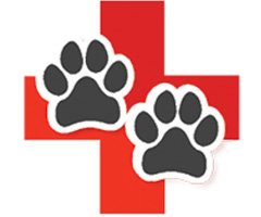 Dr. Pet MD