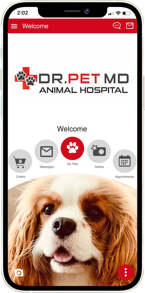 Dr. Pet MD