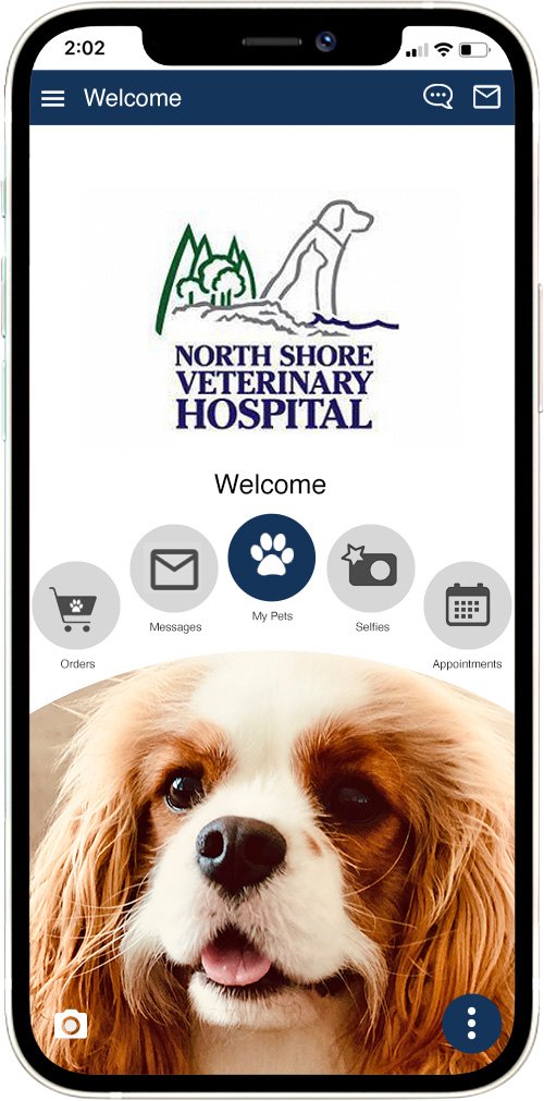 North Shore Vet