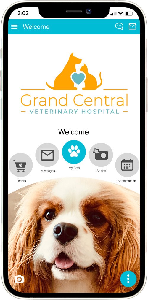 Grand Central Vet