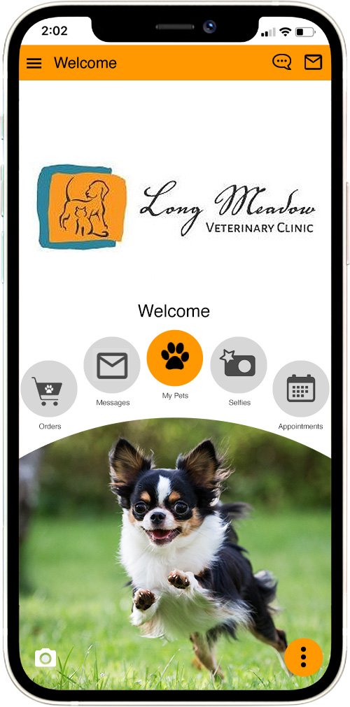 Long Meadow Vet