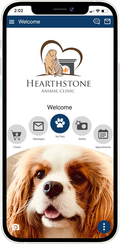 Hearthstone AC