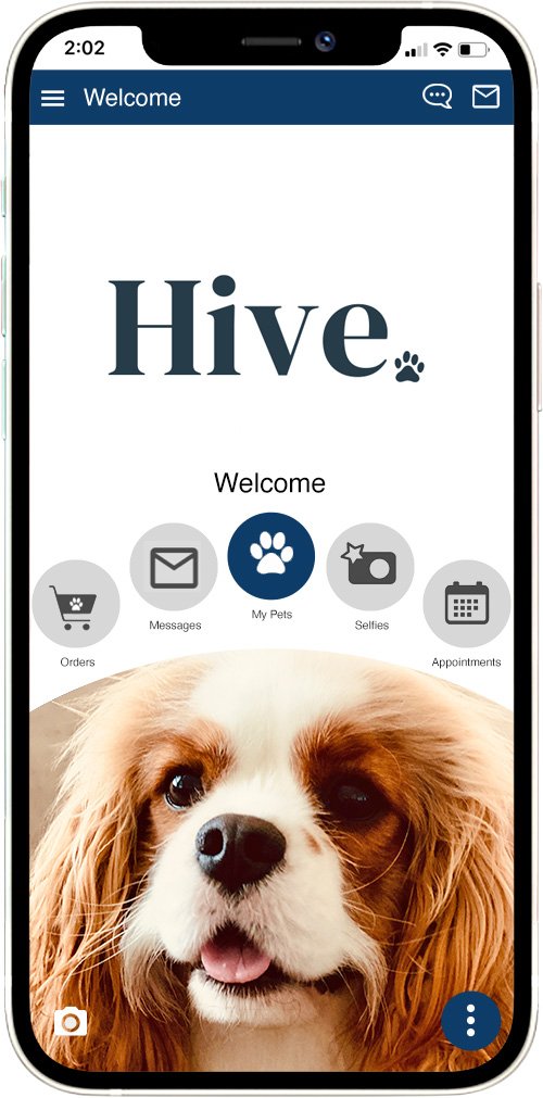 Hive DVM