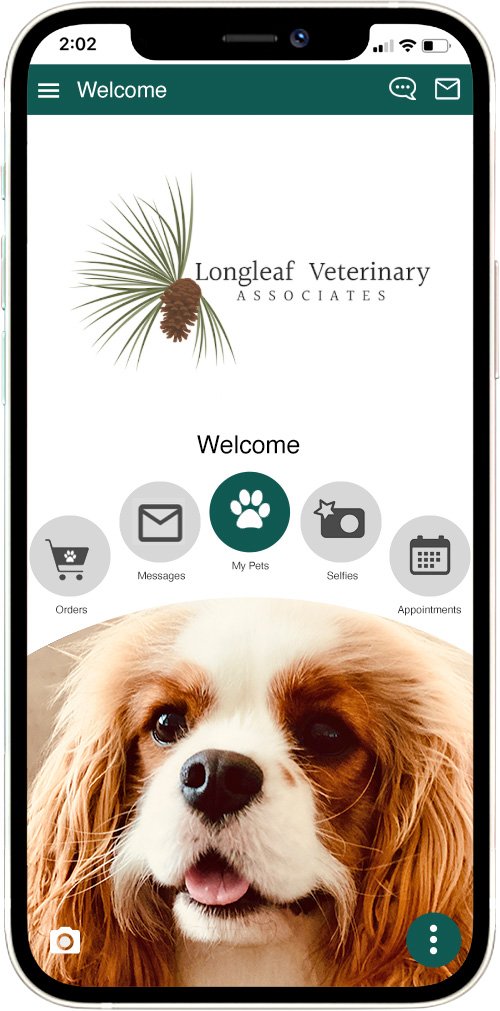 Longleaf Vet