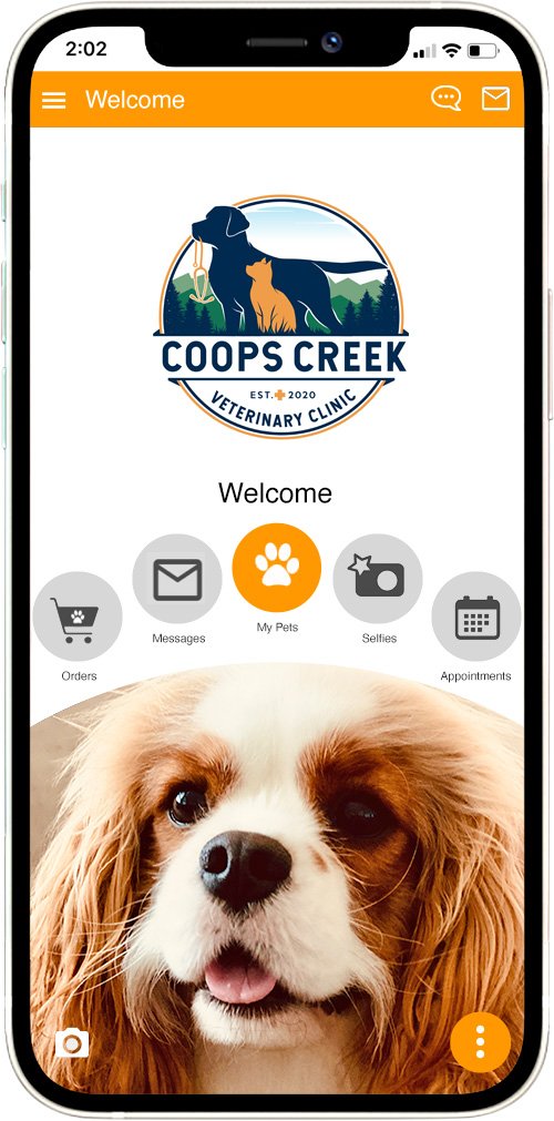 Coops Creek