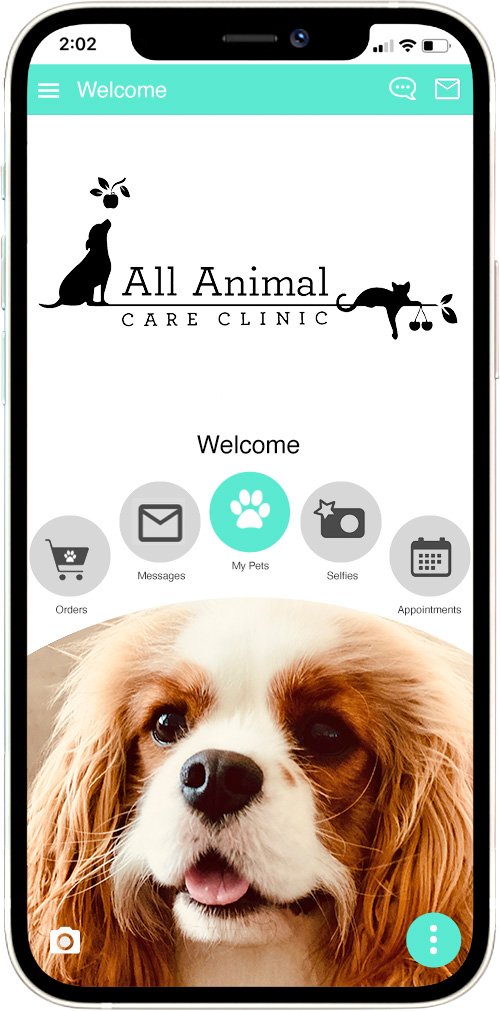 All Animal Care