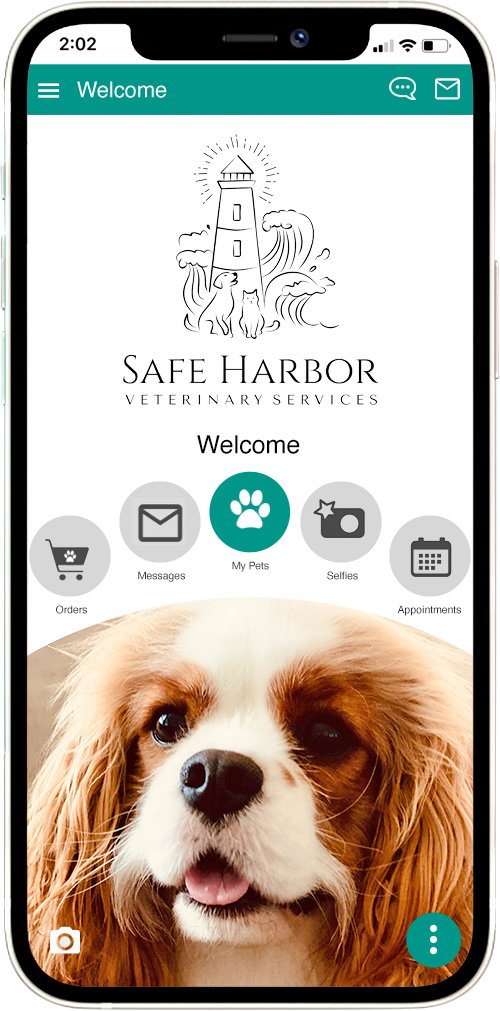 Safe Harbor Vet