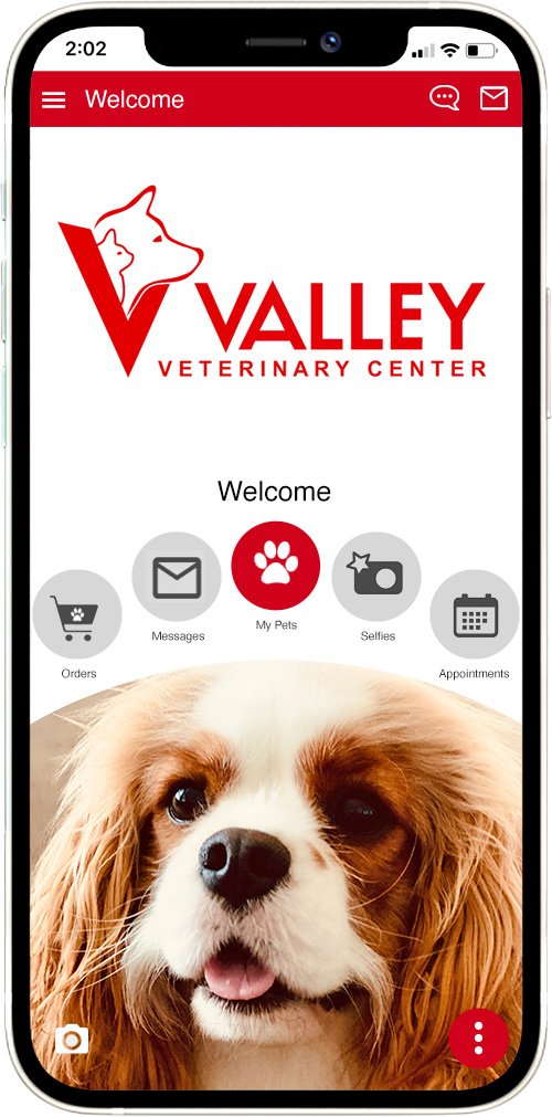 Valley Vet