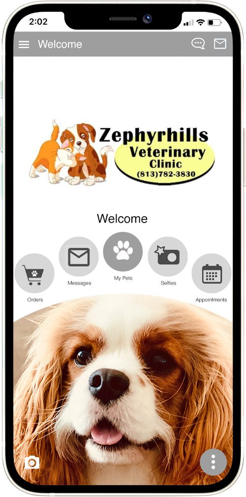 Zephyrhills