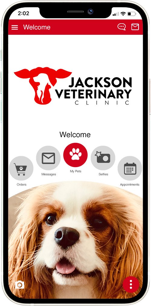 Jackson Vet Clinic