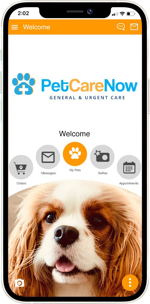 Pet Care Now