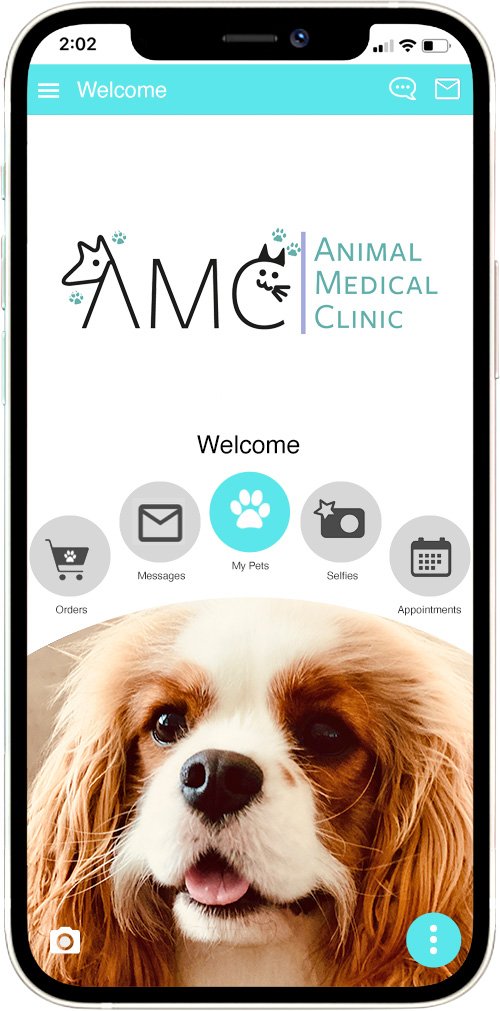 AMC
