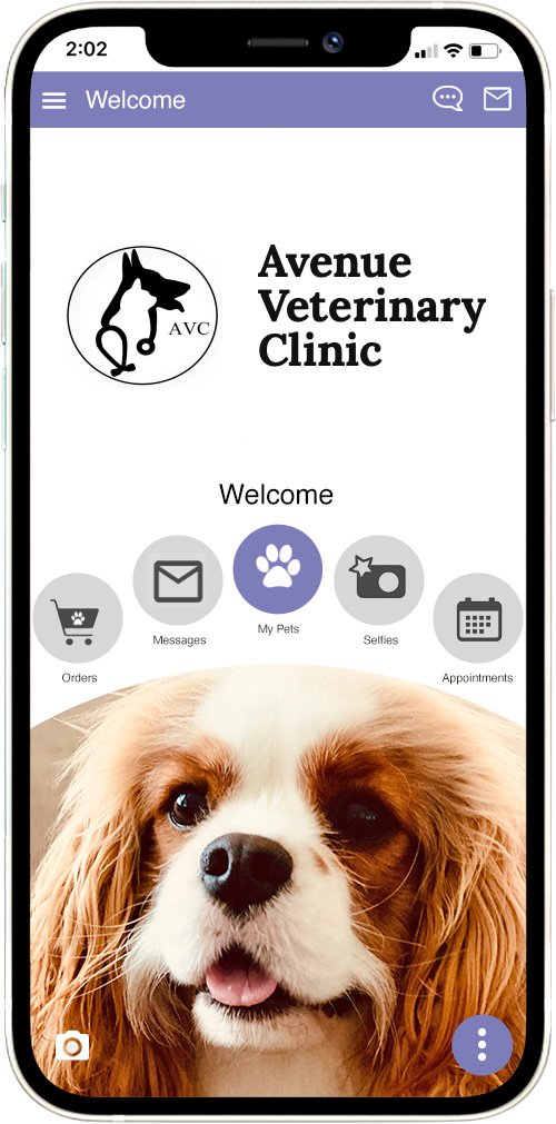 Avenue Vet Clinic