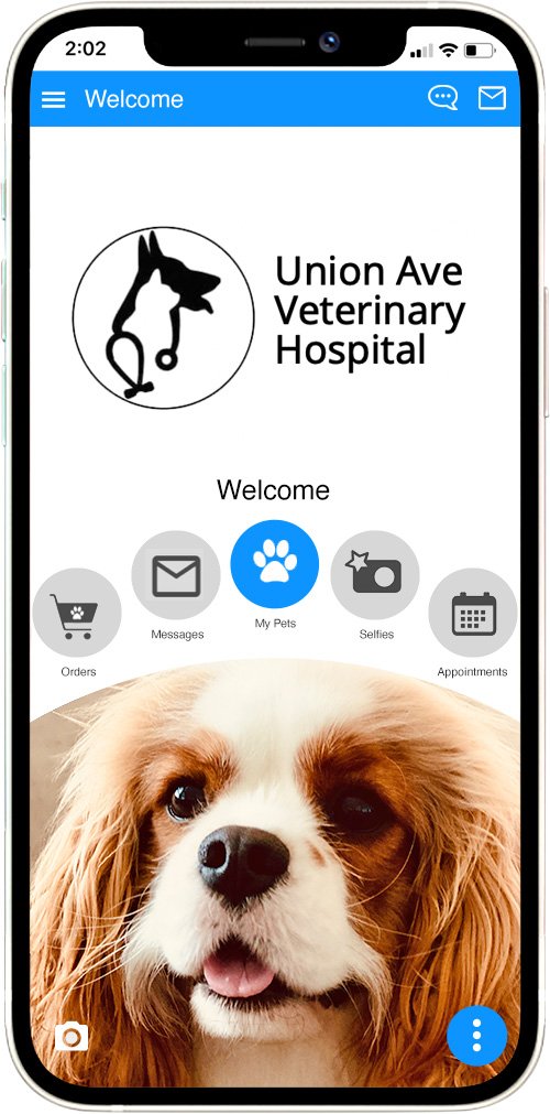 Union Avenue Veterinary Hospital