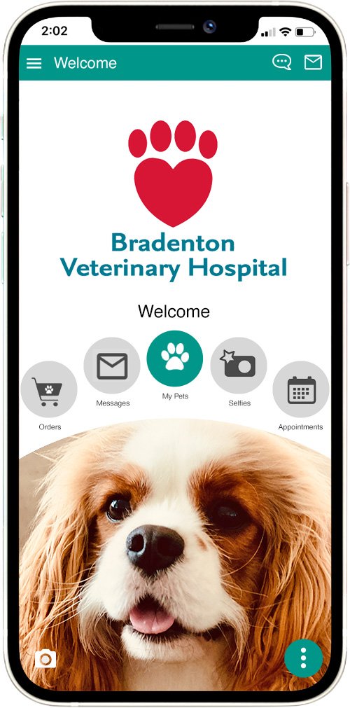 Bradenton Vet Hospital