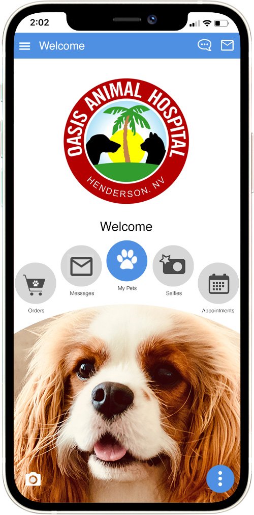 Oasis Animal Hospital