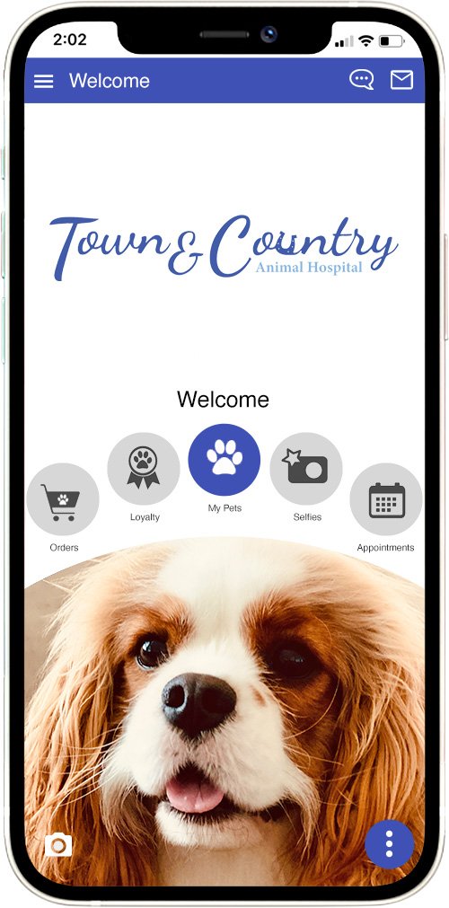 Town & Country Animal Hospital