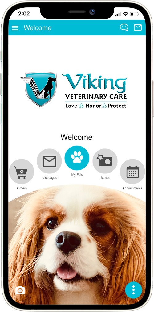 Viking Vet Care