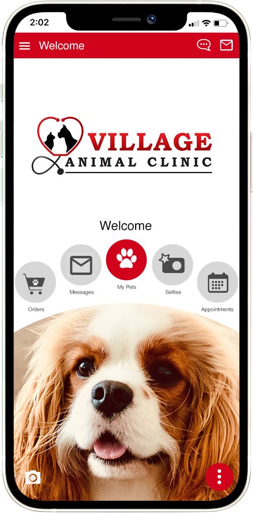 Village AC