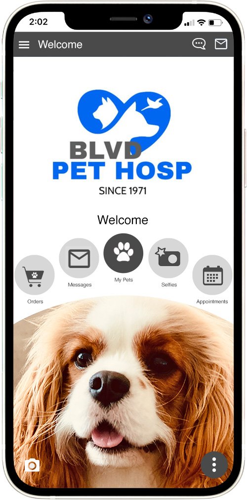 Boulevard Pet Hospital