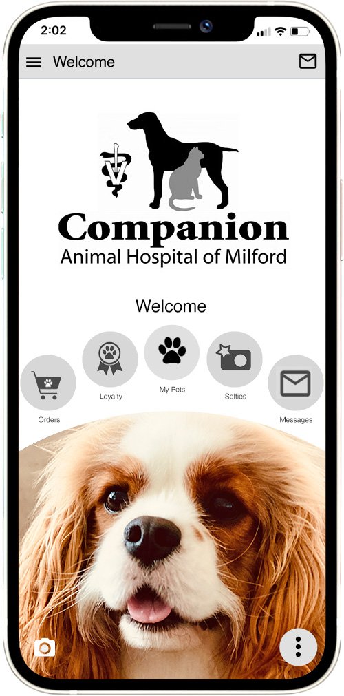 Companion AH of Milford