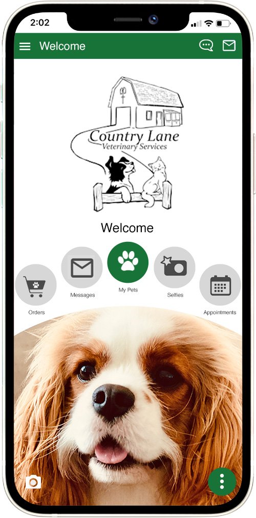 Country Lane Vet